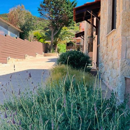 Palma Seaside Villa 1 Сарти Екстериор снимка